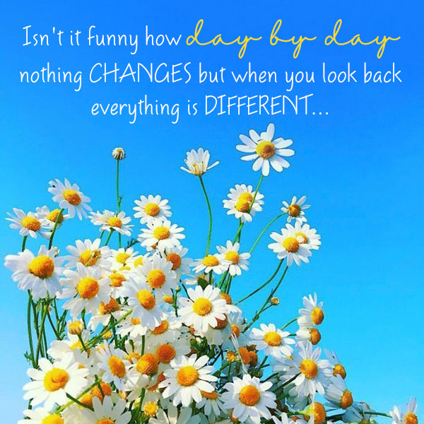 Isn't it funny how day by day nothing changes but when you look back everything is different