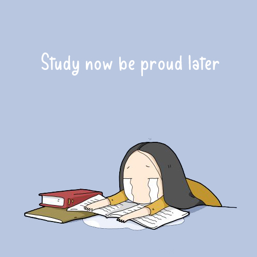 Study now be proud later