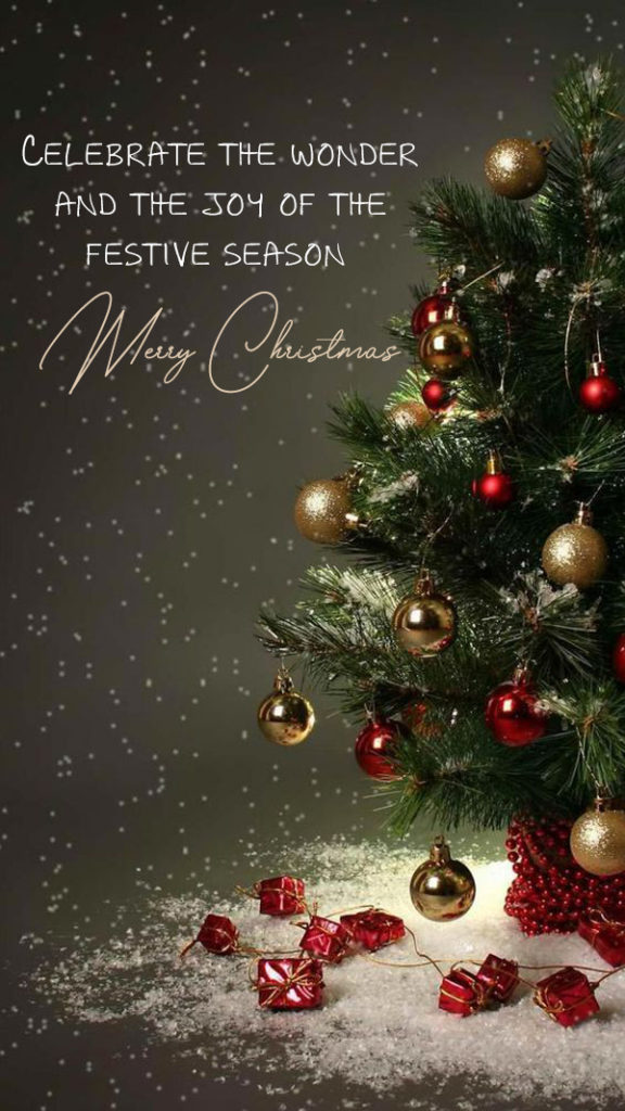 Celebrate the Wonder and the Joy of the Festive Season. Merry Christmas