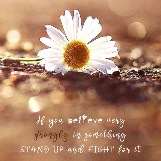 If you believe very strongly in something, stand up and fight for it kkk