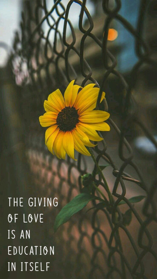 The giving of love is an education in itself