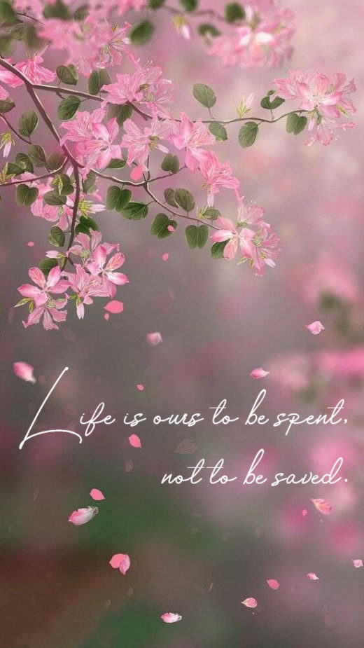 Life is ours to be spent, not to be saved