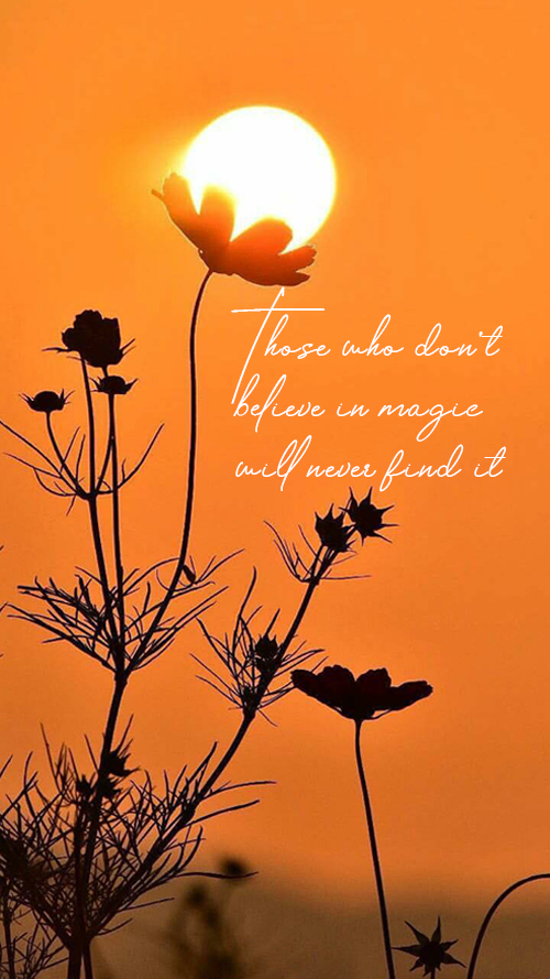 Those who don't believe in magic will never find it